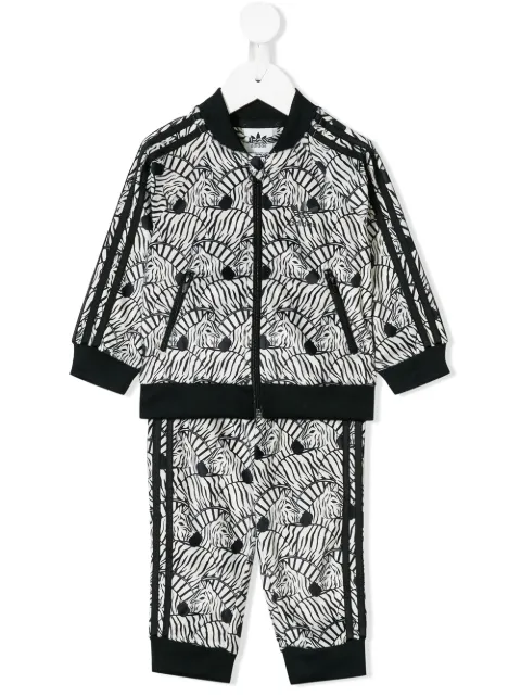 adidas zebra tracksuit