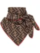 الصورة 1 من Fendi FF foulard