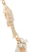 Anton Heunis metallic gold puka shell fish crystal earrings