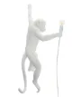 Image 2 of Seletti Monkey hanging indoor lamp