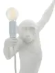 Seletti Monkey hanging indoor lamp