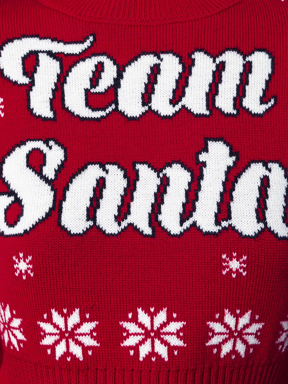 Team Santa Sweater