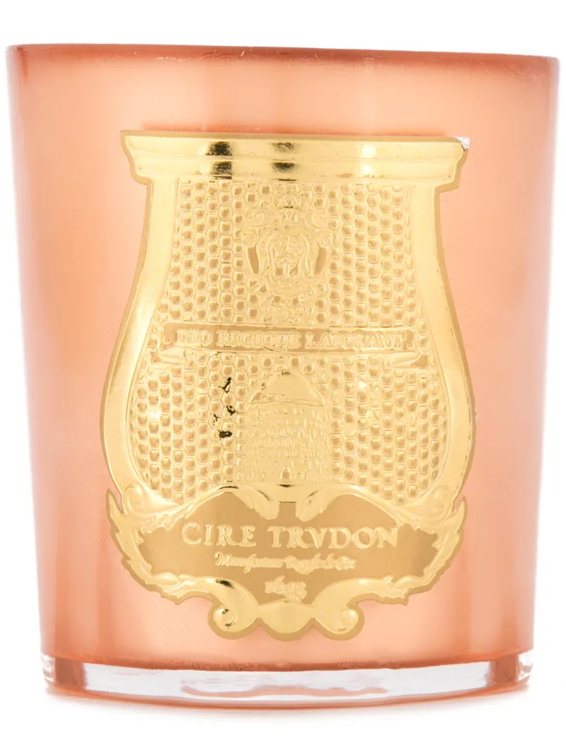 Cire Trudon аромасвеча Ernesto из новогодней коллекции
