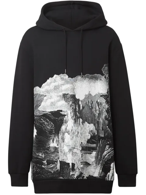 burberry dreamscape hoodie