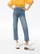 RE/DONE Stove Pipe cropped jeans