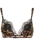 Dolce & Gabbana leopard print bra - Brown