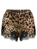 Dolce & Gabbana leopard-print pajama shorts - Brown