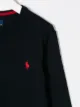 Ralph Lauren Kids Pullover mit kleinem Logo