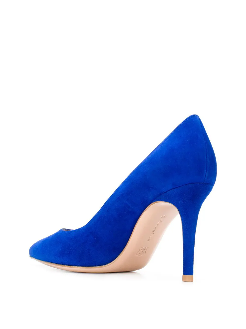 Gianvito Rossi Pumps met puntige neus Blauw