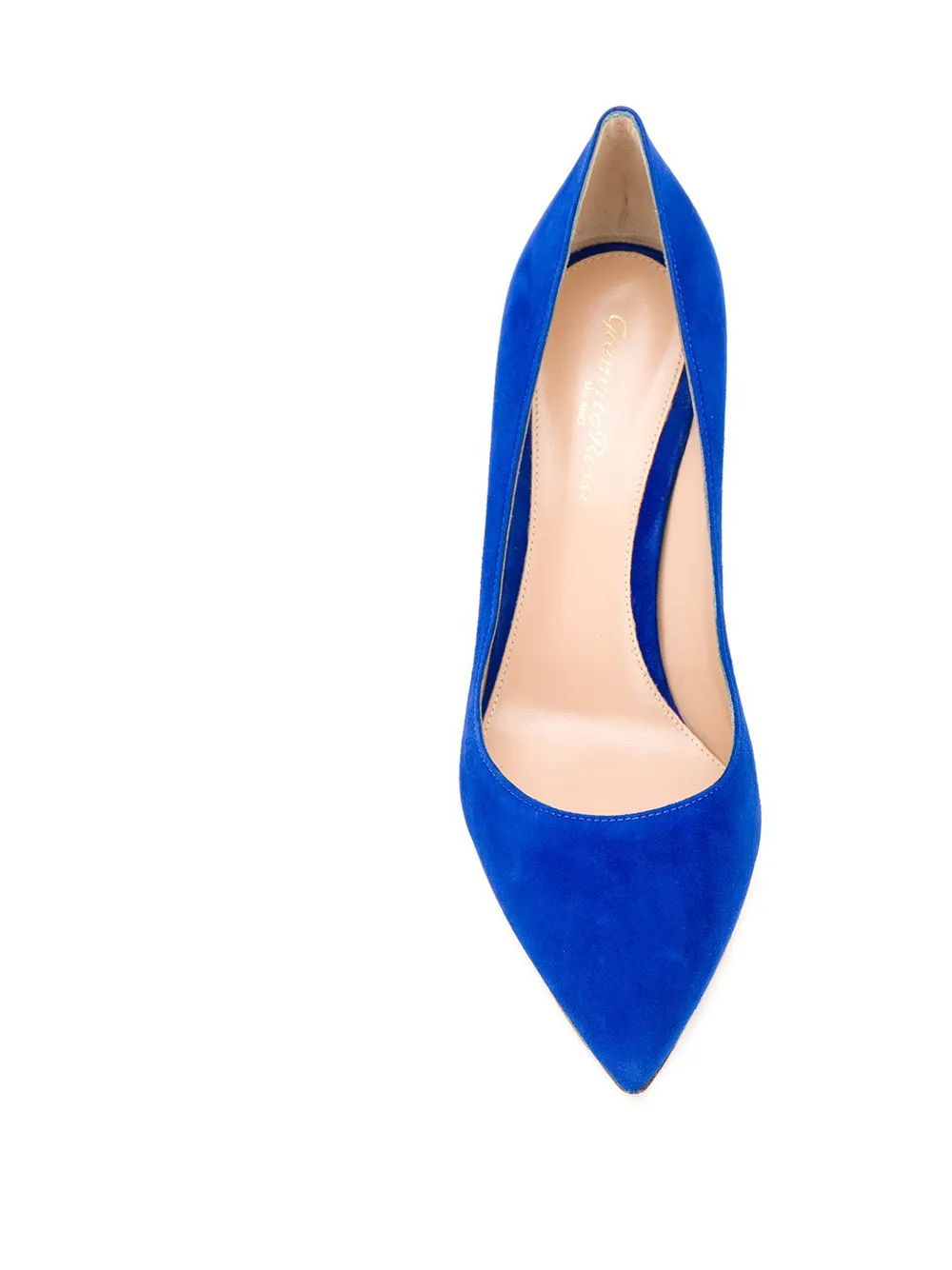 Gianvito Rossi Pumps met puntige neus Blauw