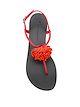 Giuseppe Zanotti flat flower sandals
