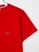 Lacoste Kids تيشيرت بشعار مطرز