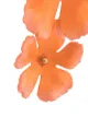 Jennifer Behr big flower earrings