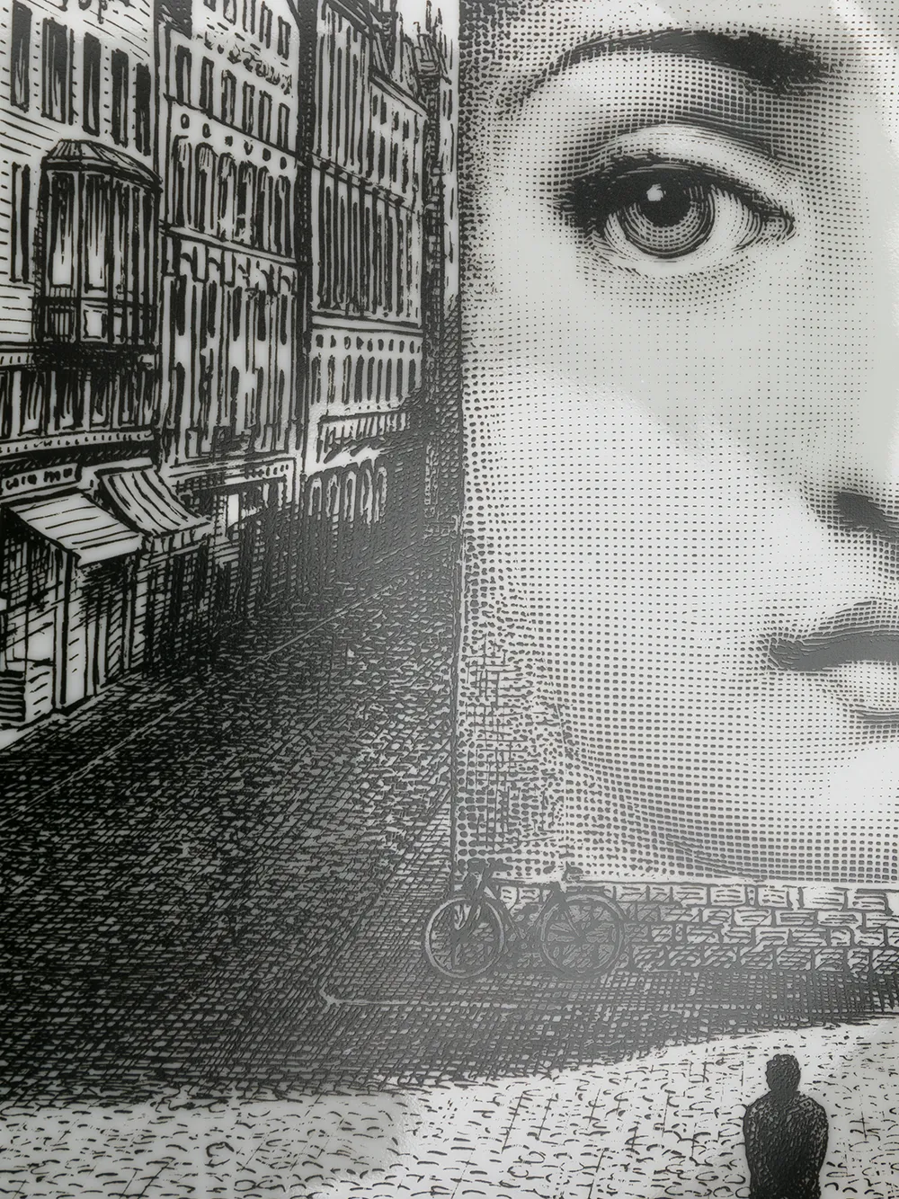 фото Fornasetti настенная тарелка tema e variazioni