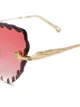 Chloé Eyewear cat eye framed sunglasses