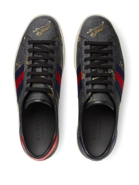 sneakers gucci tigre