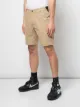 Aztech Mountain Sunnyside shorts