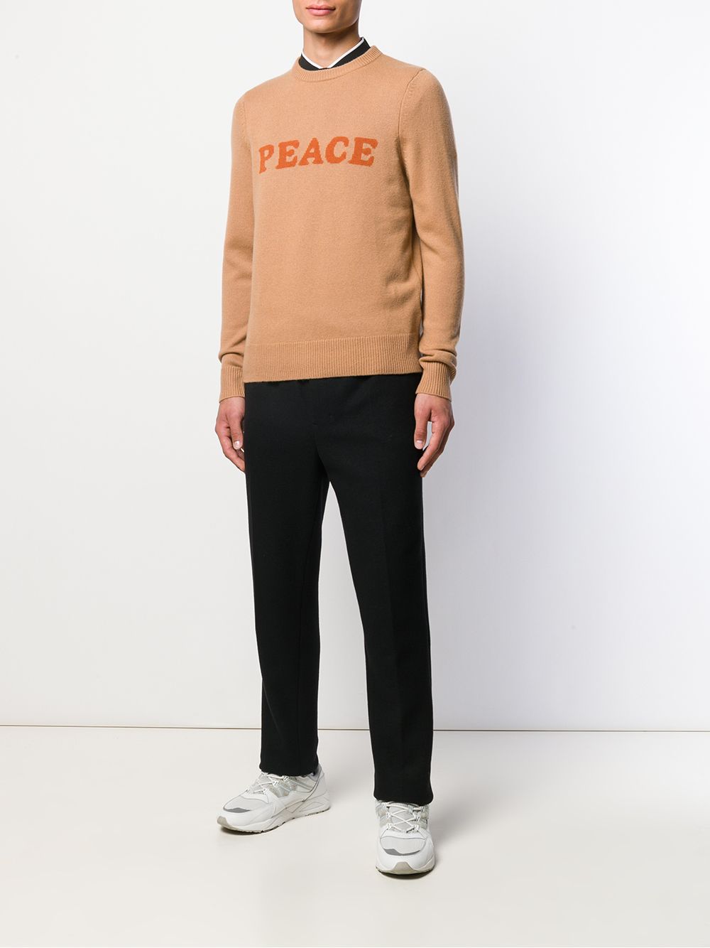 фото Sandro Paris джемпер Peace