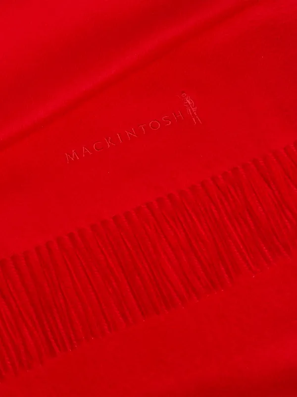 embroidered cashmere scarf