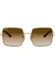Image 1 of Ray-Ban 1971 Evolve sunglasses