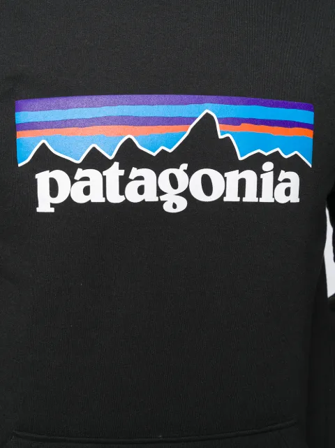 vintage patagonia moletom com capuz