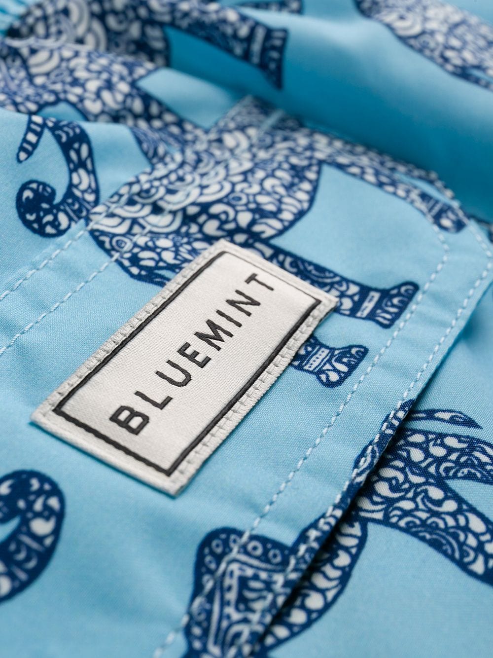 фото Bluemint плавки-шорты Kandula с принтом