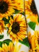 Dolce & Gabbana Kids قميص بطبعة زهور دوار الشمس