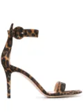 Gianvito Rossi leopard Portofino sandals - Brown