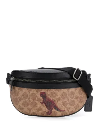 coach dinosaur clutch