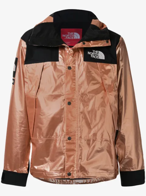 Supreme tnf metallic mountain parka