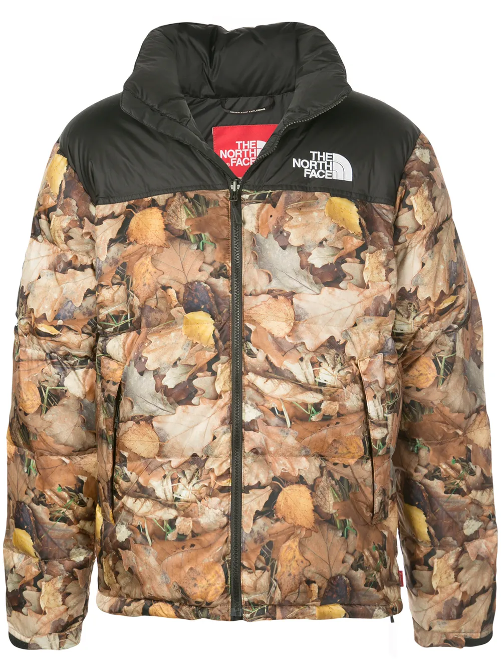 supreme north face jacket