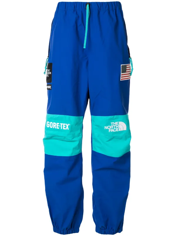 blue north face pants