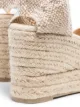 Castañer Carina 90mm espadrille wedges