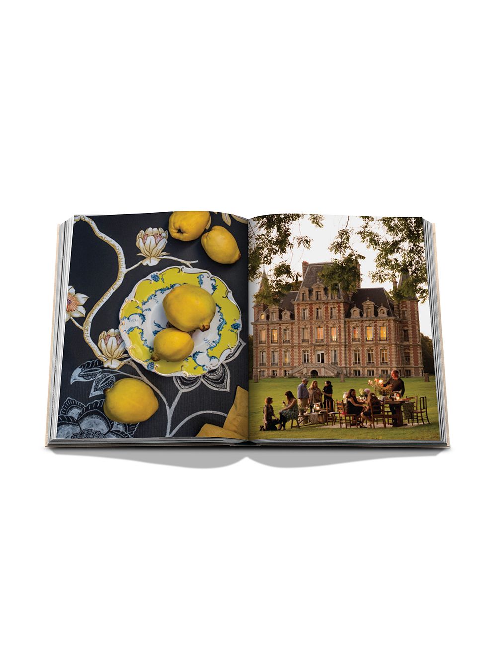 фото Assouline Chateau Life