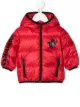 الصورة 1 من Dsquared2 Kids معطف مبطن بسحاب وشعار