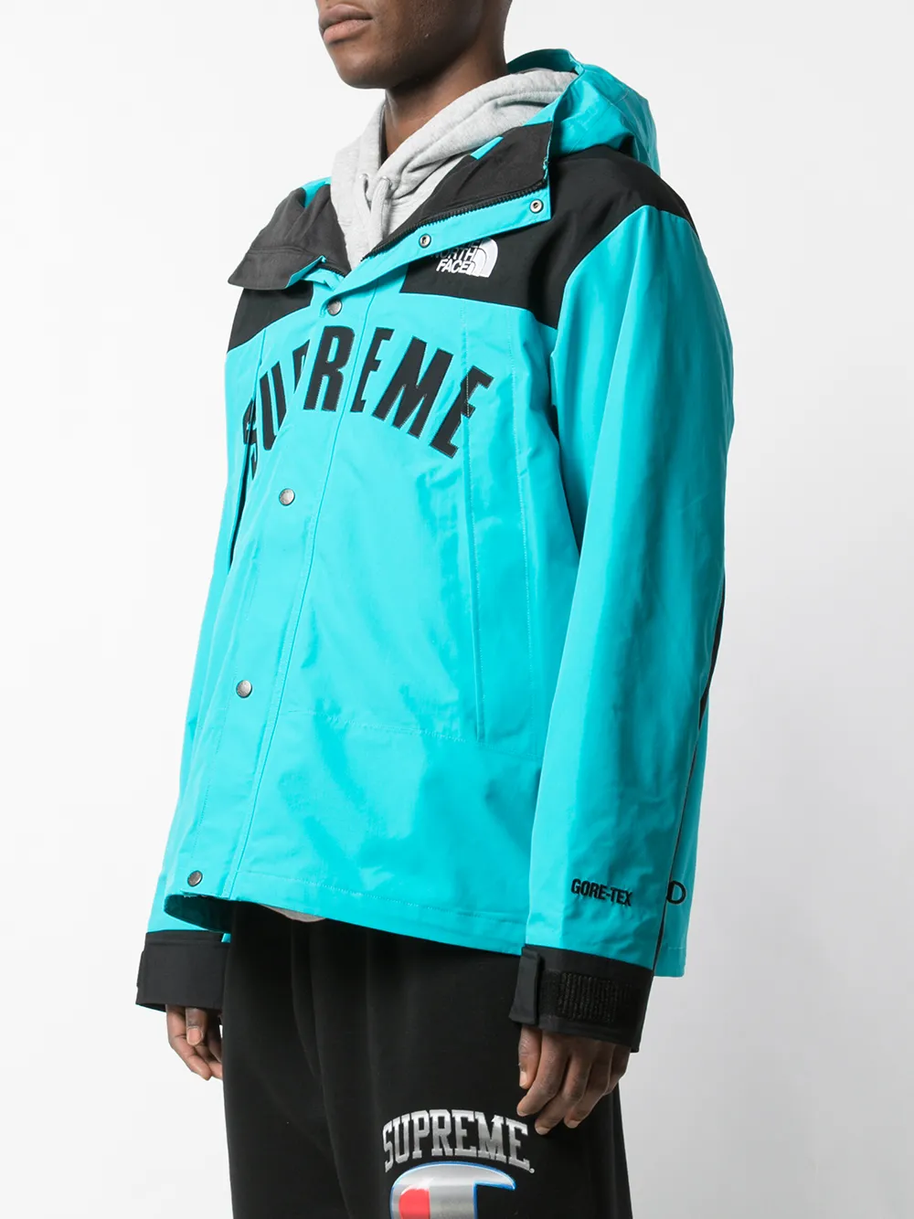 Supreme The North Face Arc Logo Mountain Parka