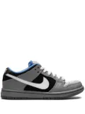 Nike Dunk Low Premium SB sneakers - Grey