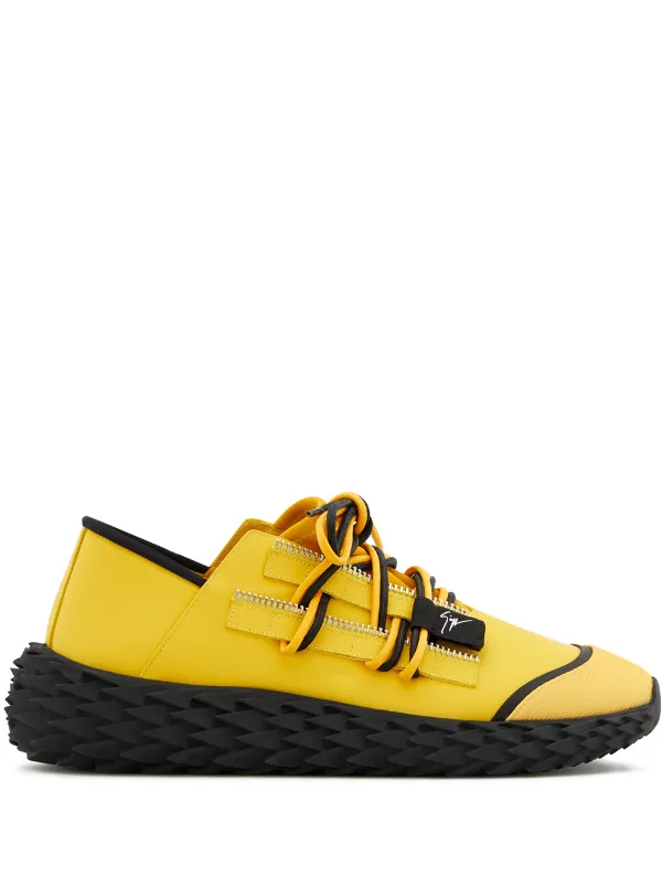 urchin zanotti