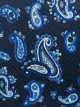 Etro paisley silk tie