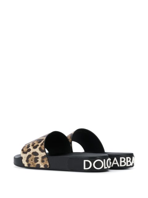 dolce and gabbana leopard slides