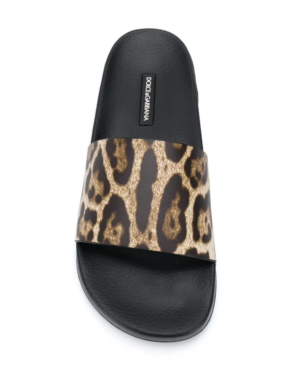 dolce gabbana leopard slides