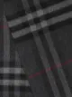 Burberry The Classic Check cashmere scarf