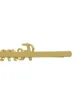 Eshvi Feminist hair pin