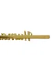 Eshvi Human hair pin