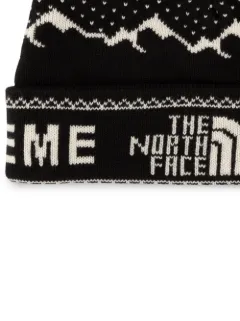 supreme x tnf beanie