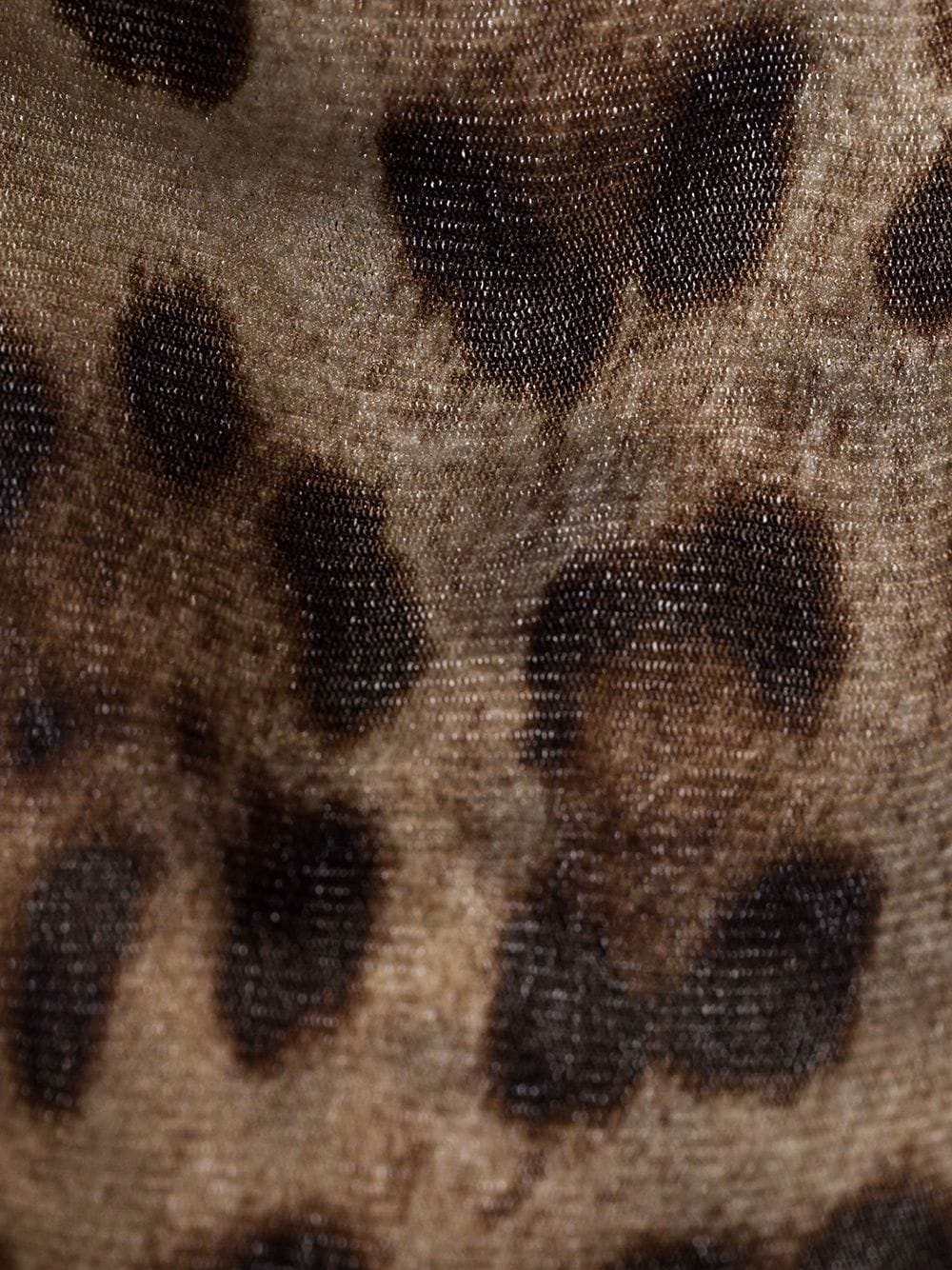 фото Dolce & Gabbana колготки с леопардовым принтом