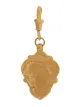 Image 1 of Alighieri The Poetic Shield amulet pendant