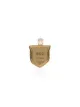 Foundrae 18kt yellow gold fide star shield charm