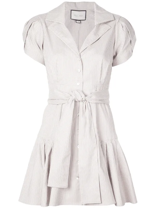Alexis shirt dress