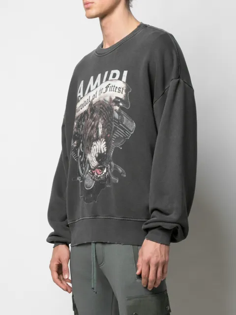 amiri pitbull sweatshirt